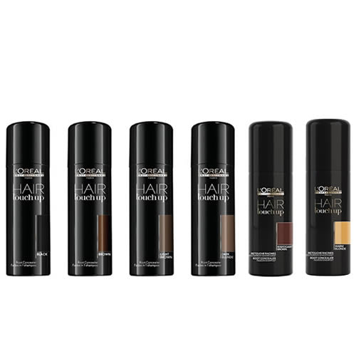 L'Oreal Hair Touch Up