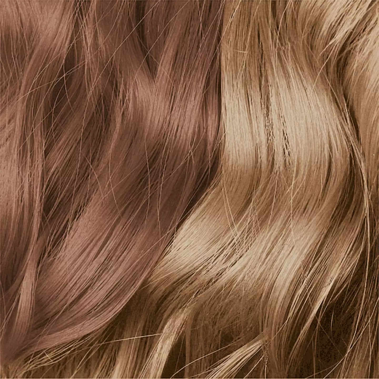 Indola Colour Mousse 200ml