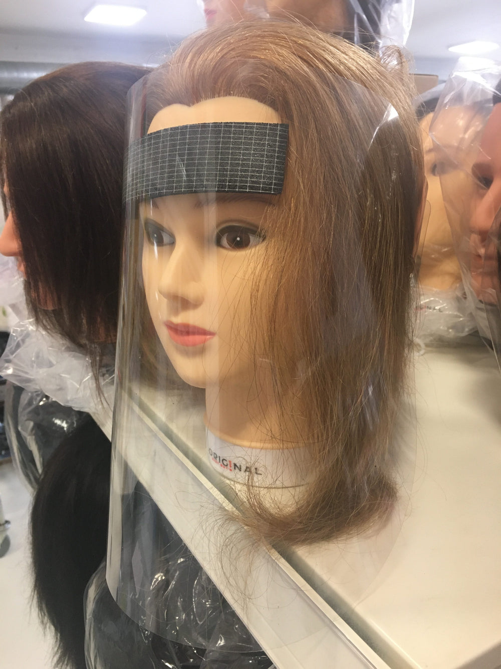 Economy Face Shield