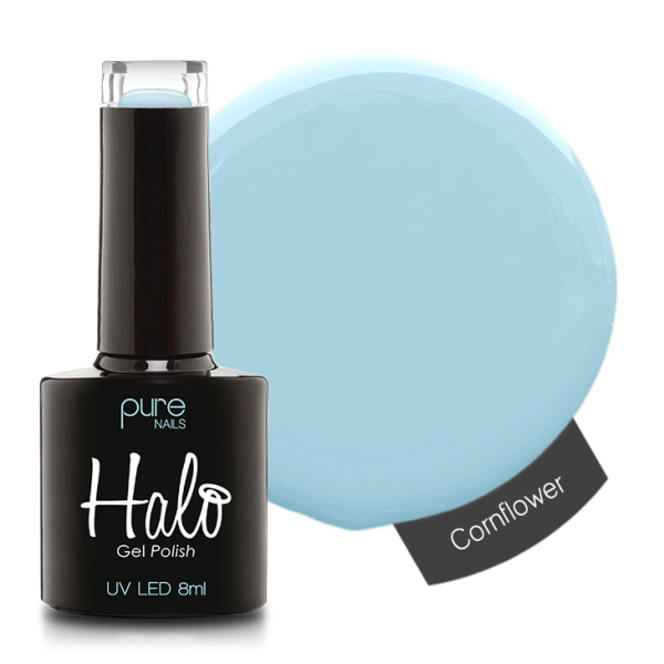 Halo Cornflower