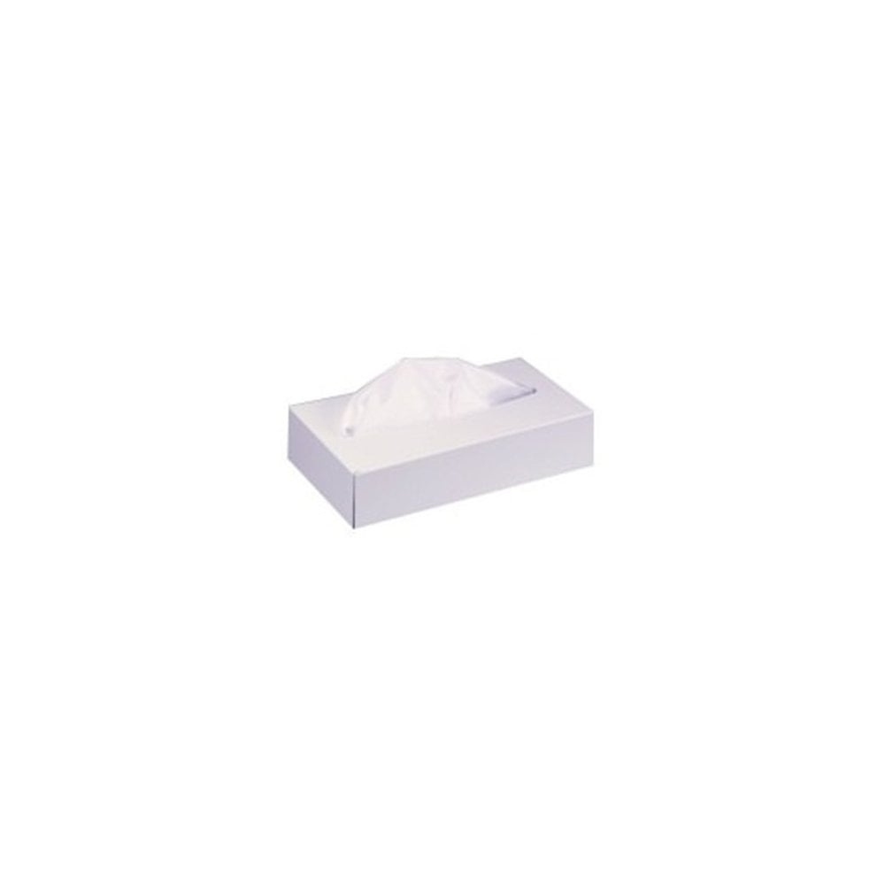 Professional Tissues (100)
