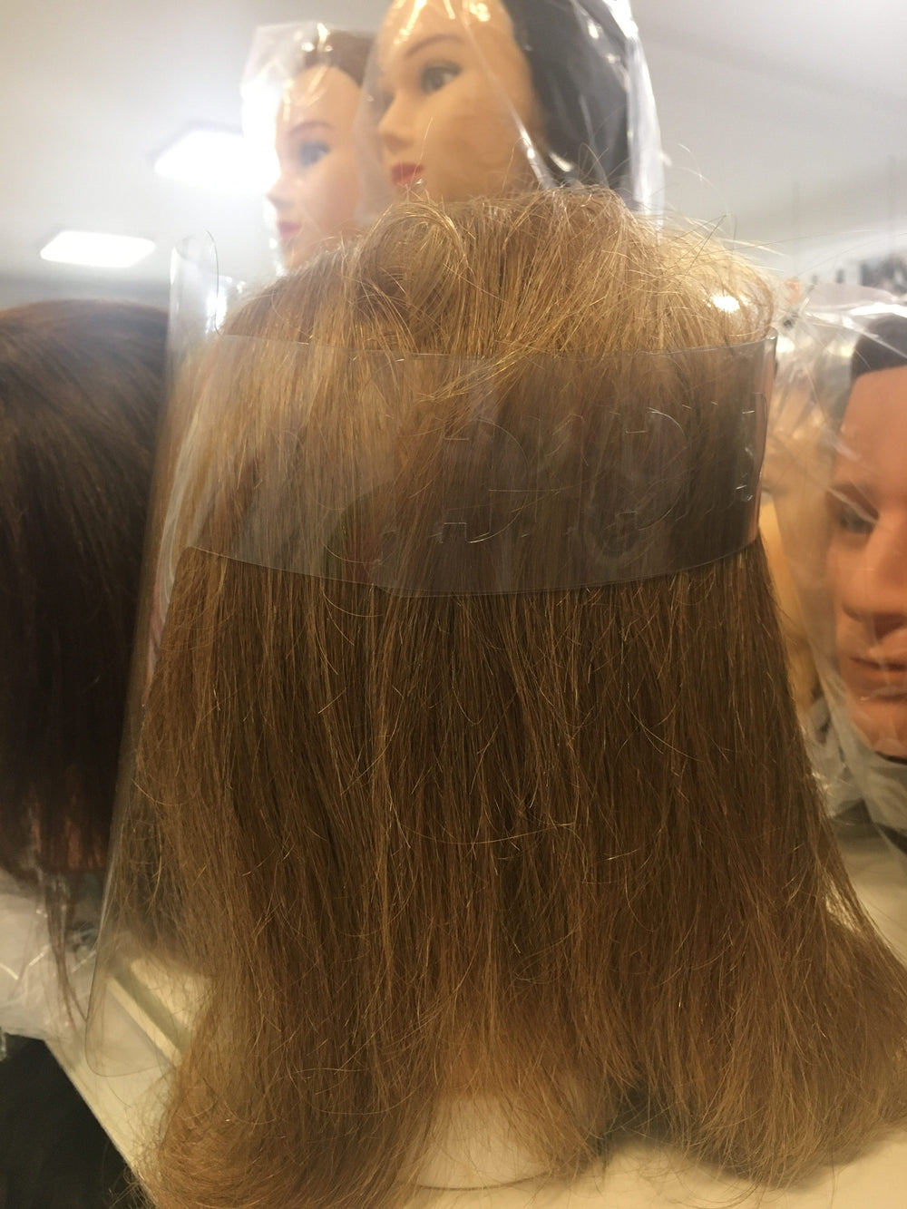 Economy Face Shield