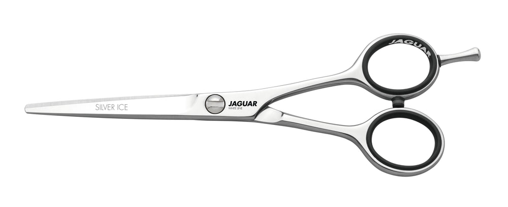 Jaguar Silver Ice 6