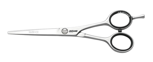 Jaguar Silver Ice 6
