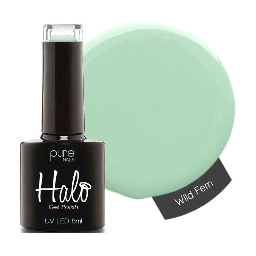 Halo Wild Fern