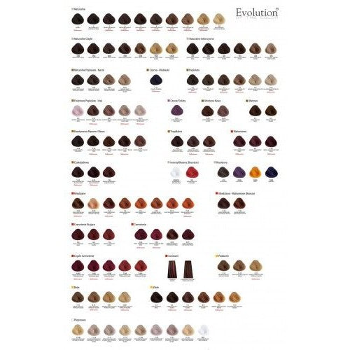 Alfaparf Evolution