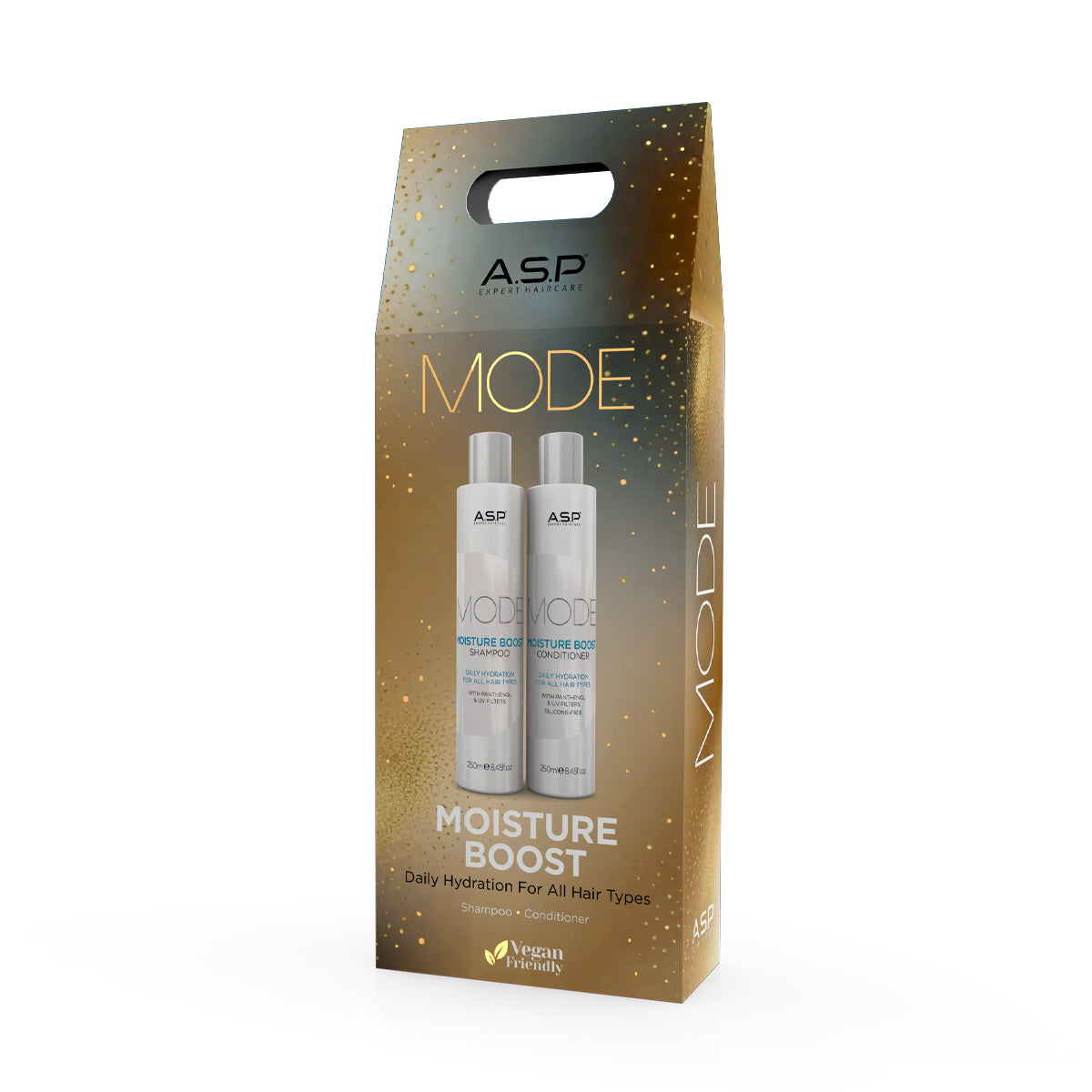 ASP Gift Set - Moisture Boost Shampoo & Conditioner 250ml (D)