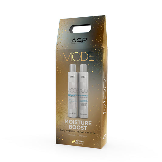 ASP Gift Set - Moisture Boost Shampoo & Conditioner 250ml