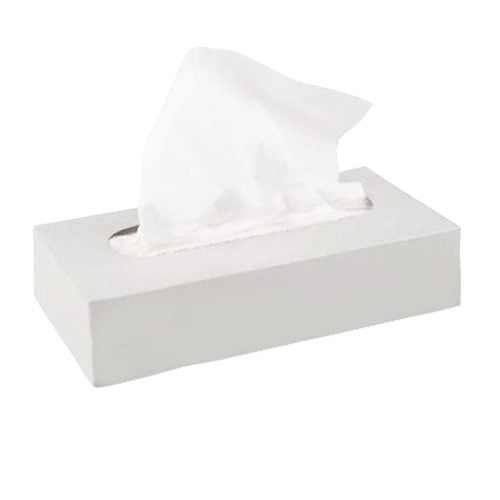 SS Luxury Facial Tissue