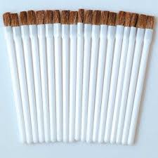 Streaker Disposable Lip Brushes